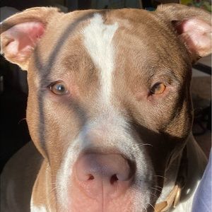 Meet your Posher, Victoria